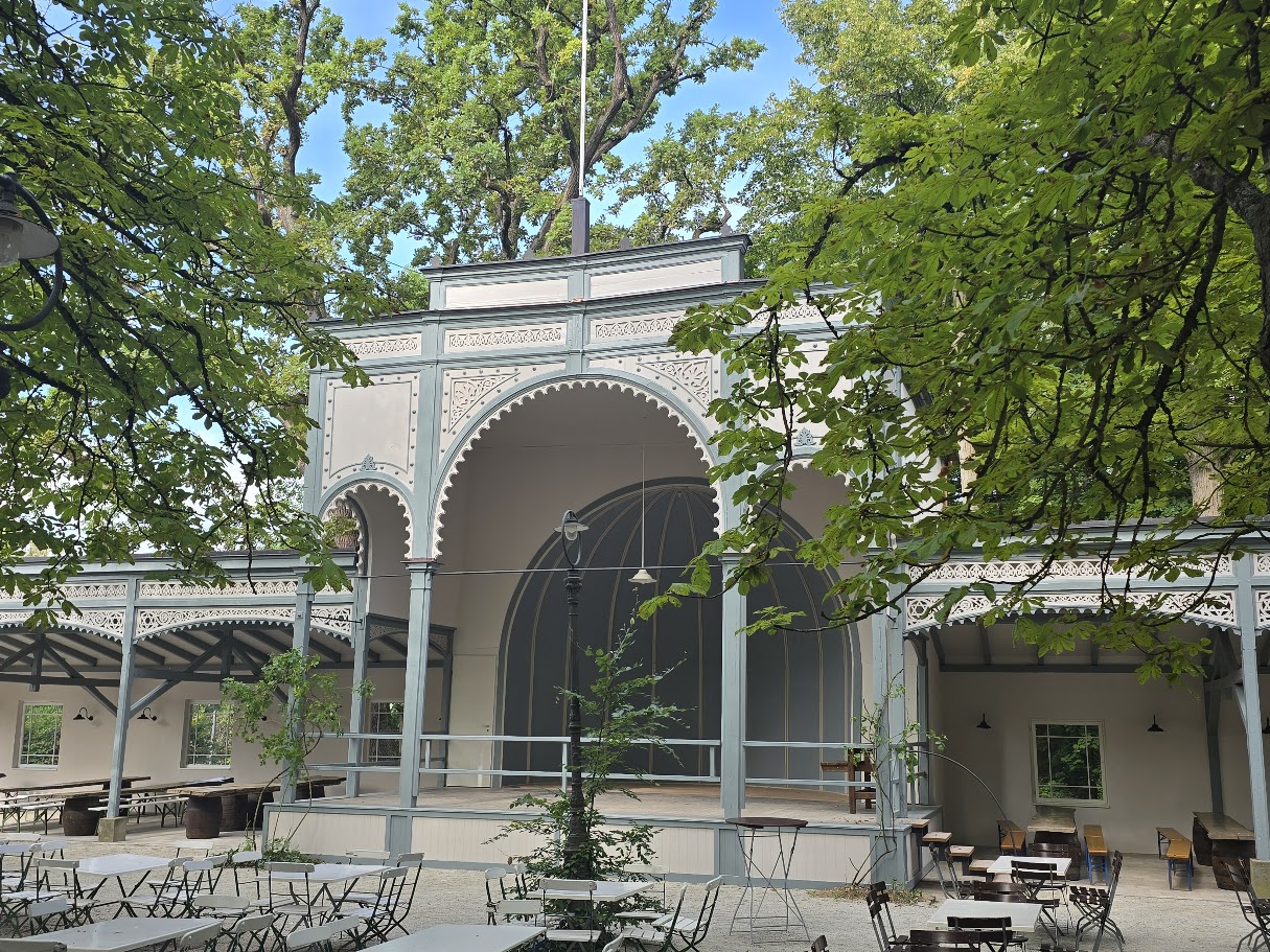 Wilde Rose Keller im sommerliche Halbschatten der Bäume